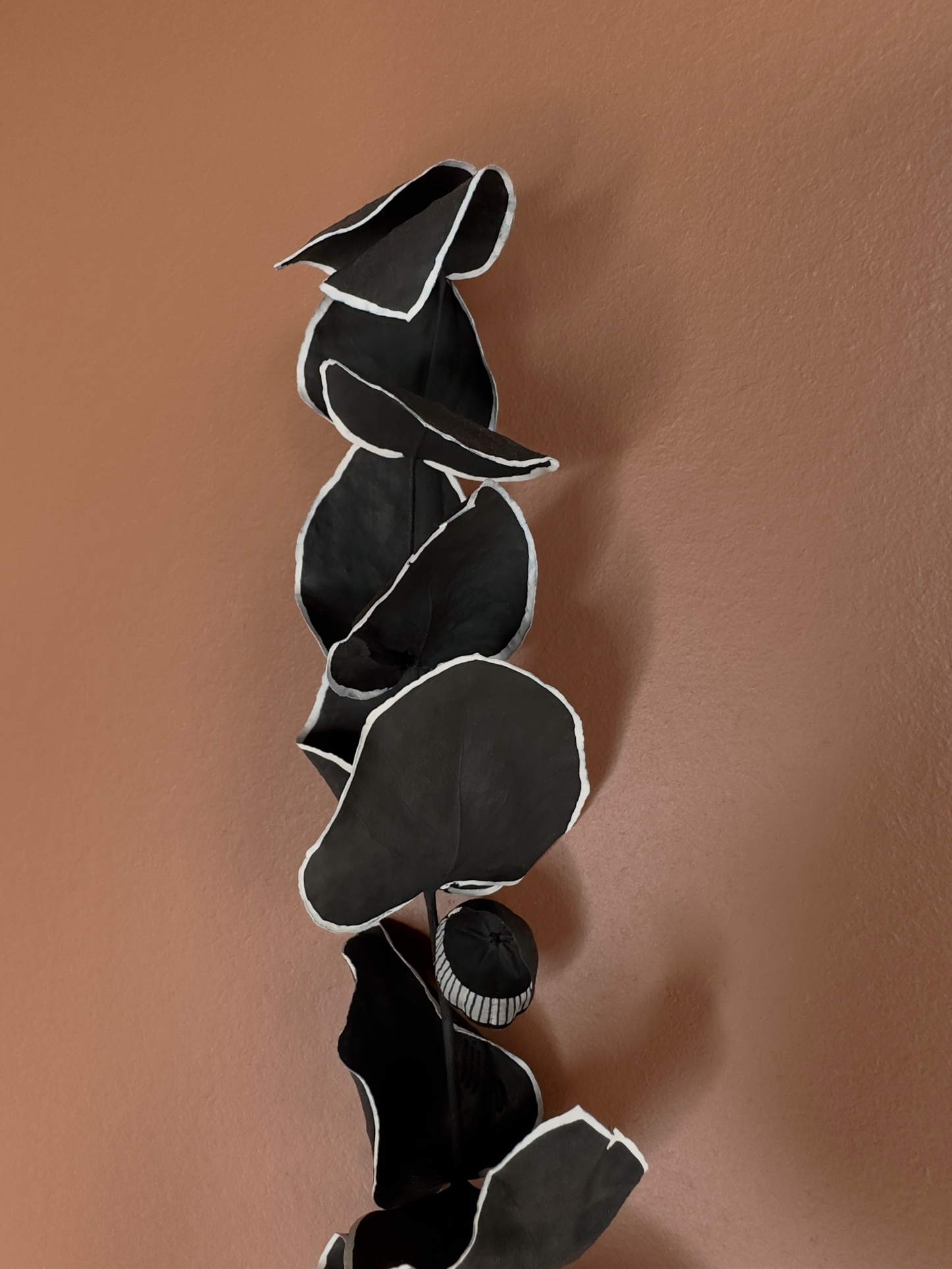 Herbier 6
