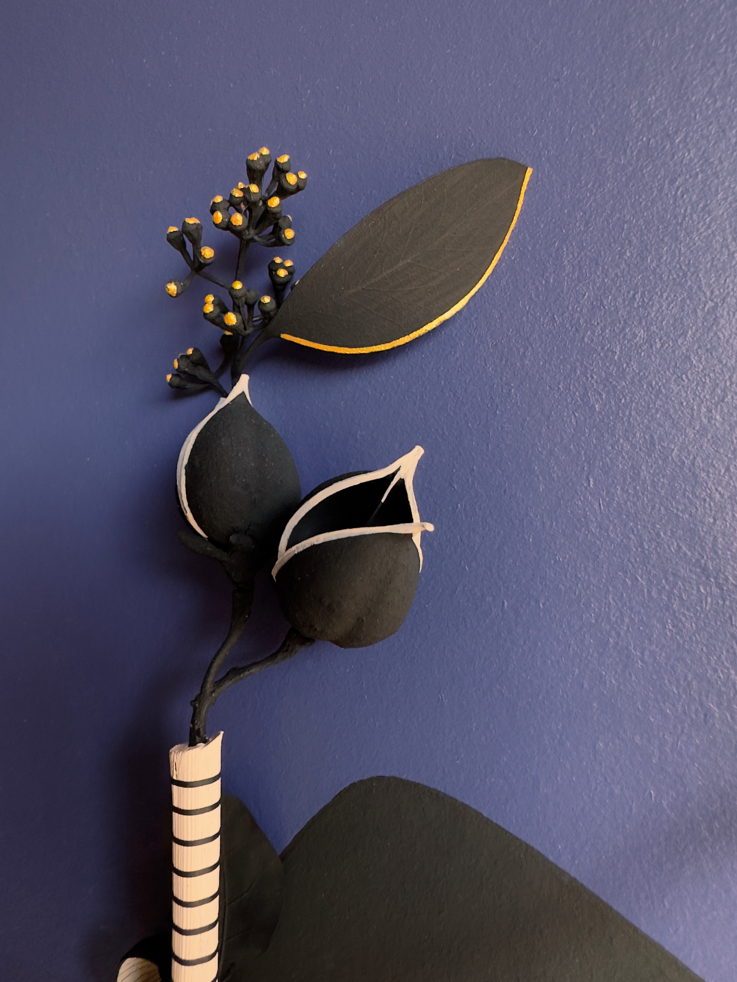 Herbier 5