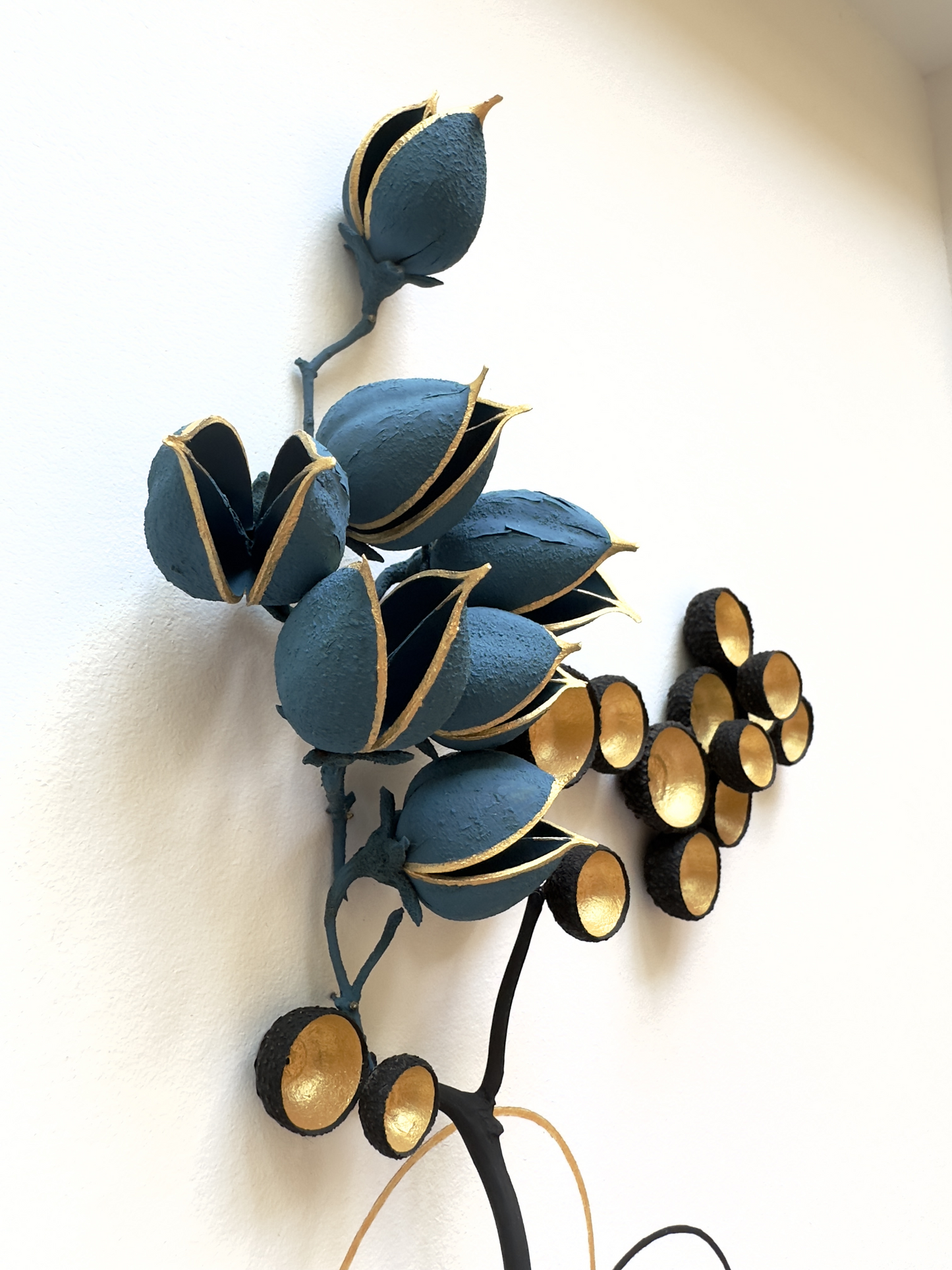 Herbier 1