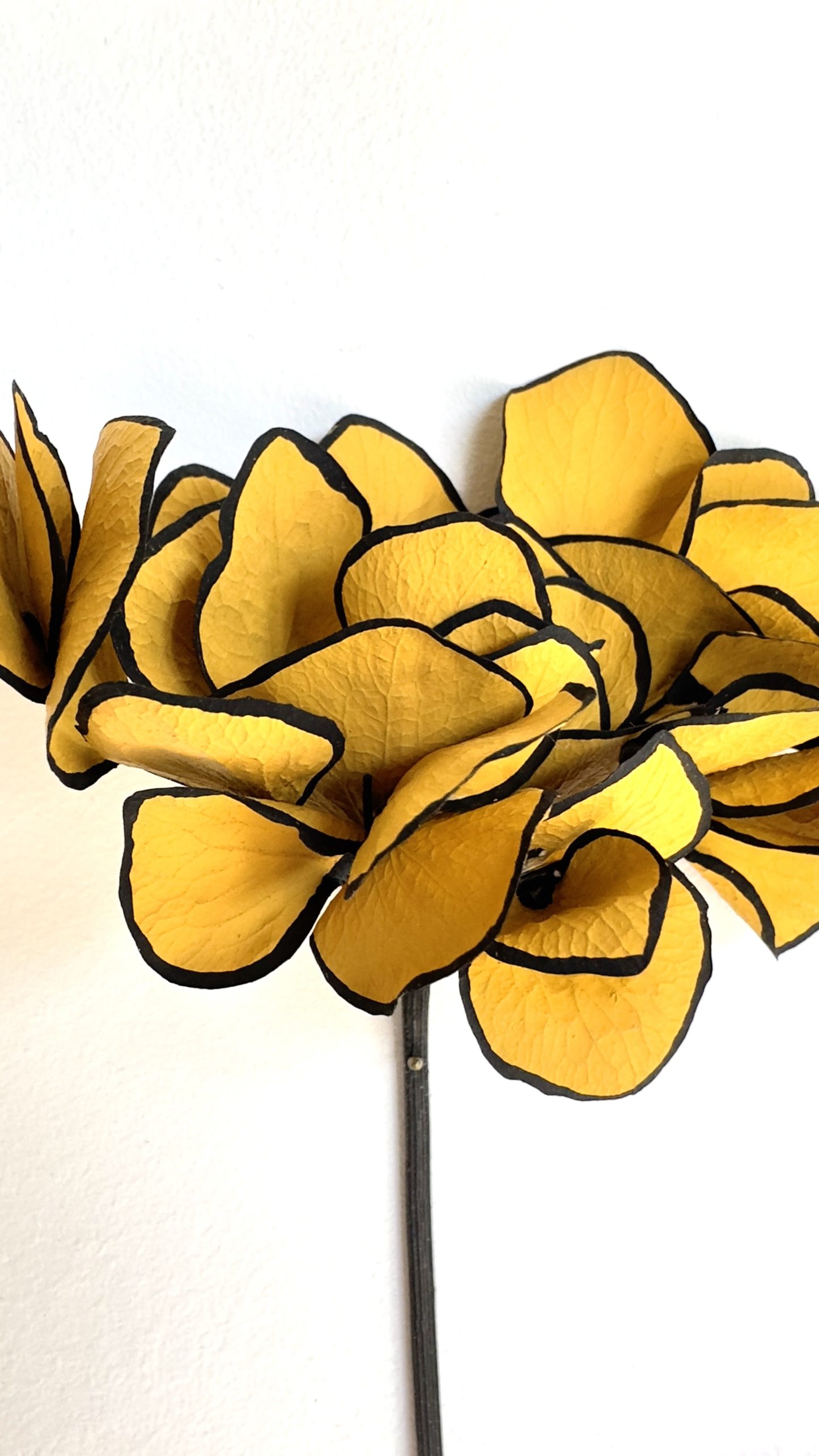 Herbier 2