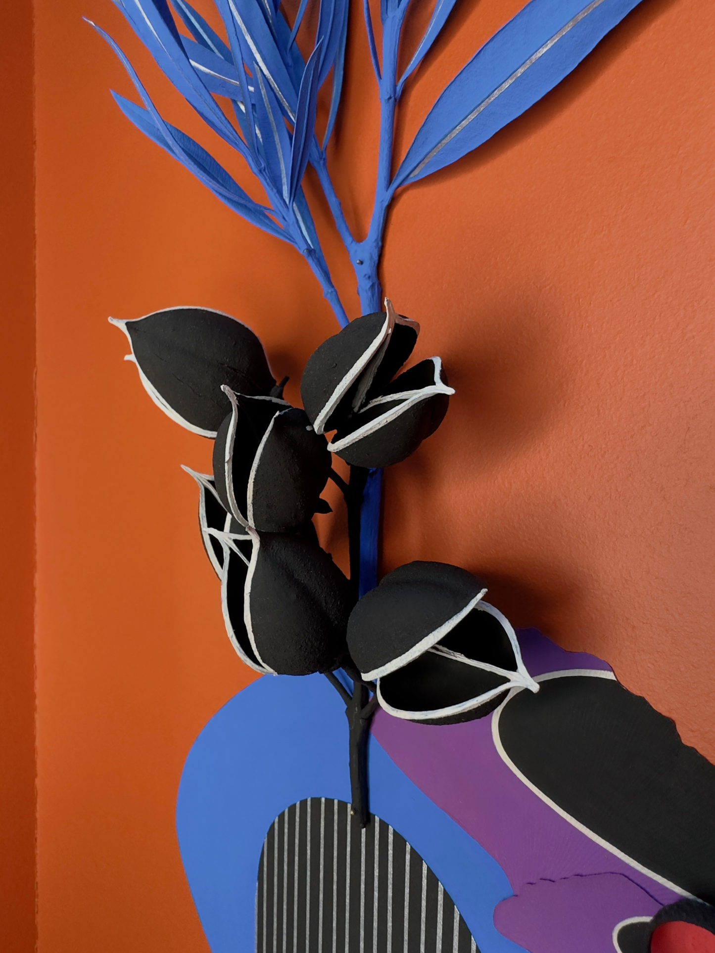 Herbier 11