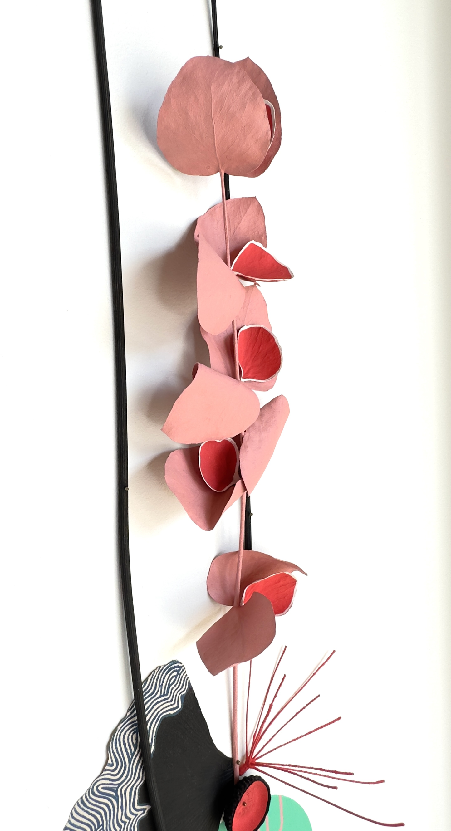 Herbier 2