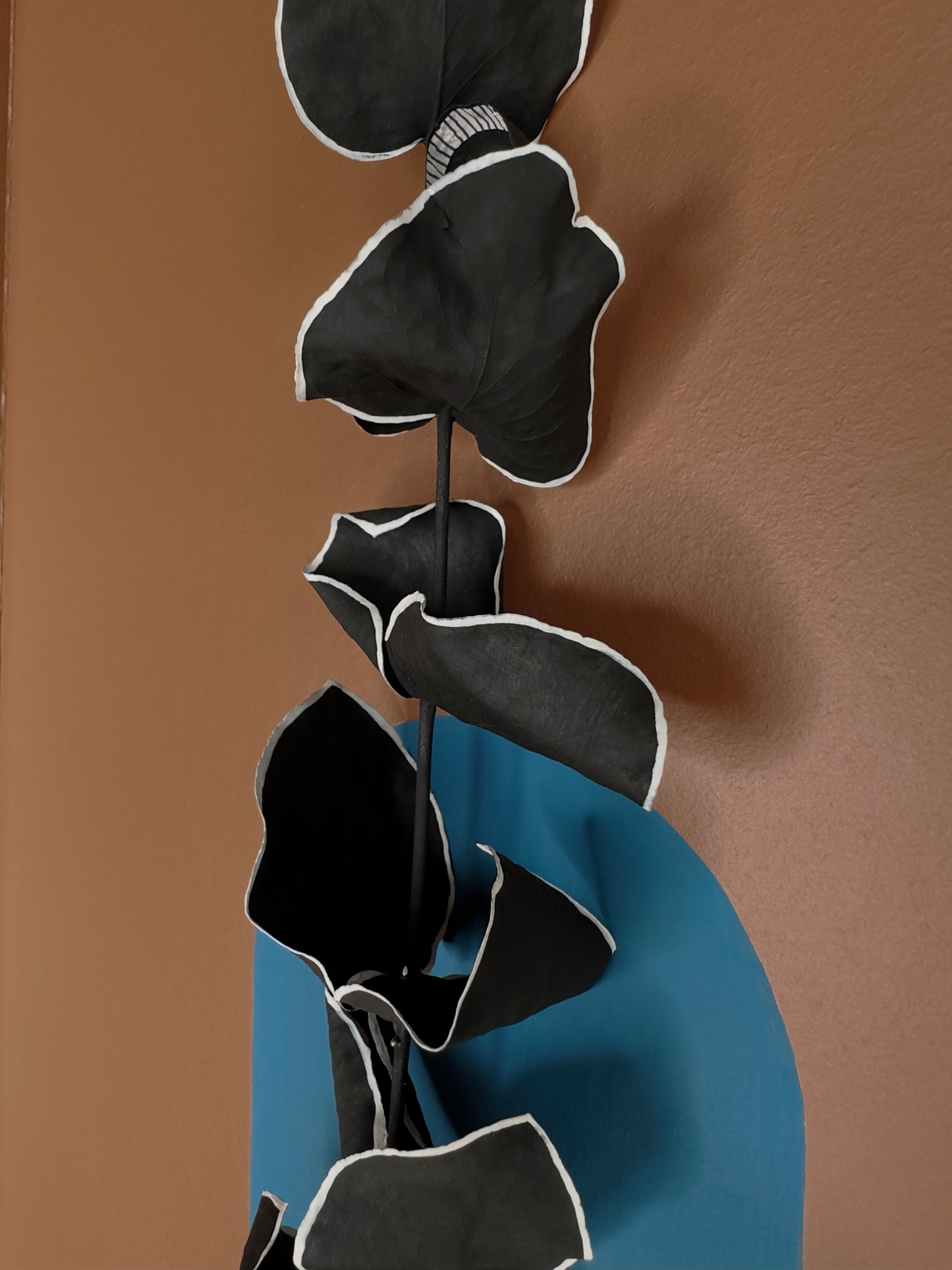 Herbier 6